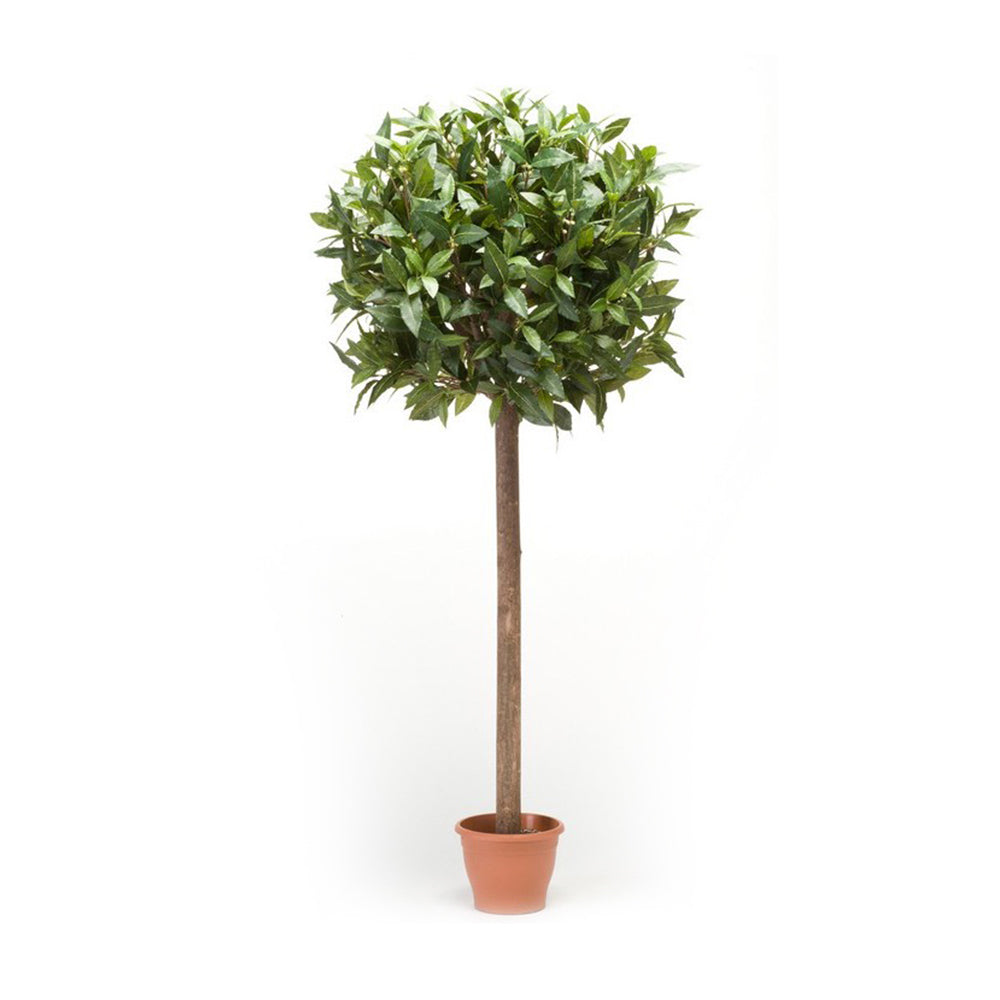 Árbol LAUREL ESFERA - Dekogreen®