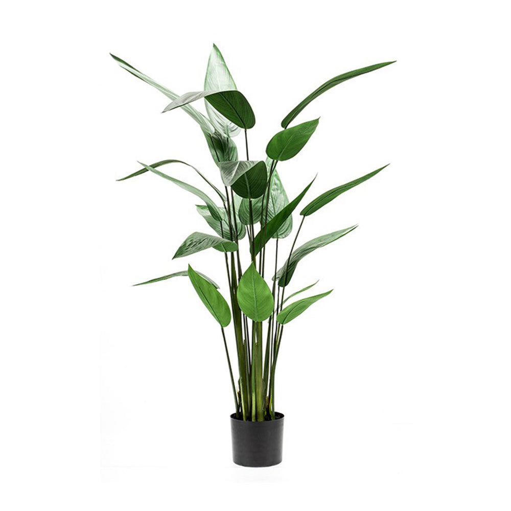 Árbol HELICONIA - Dekogreen®
