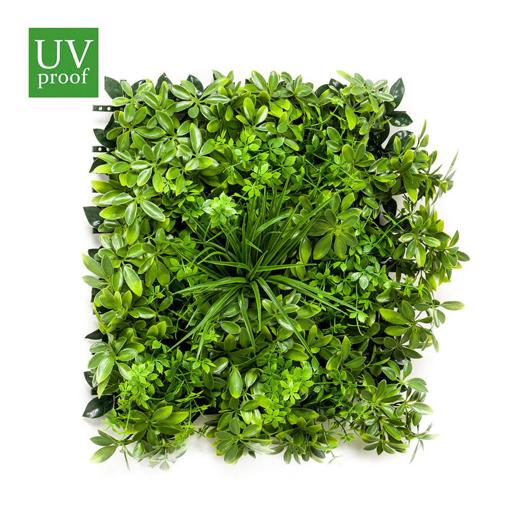 Jardín Vertical CHEFLERA UV - Dekogreen®