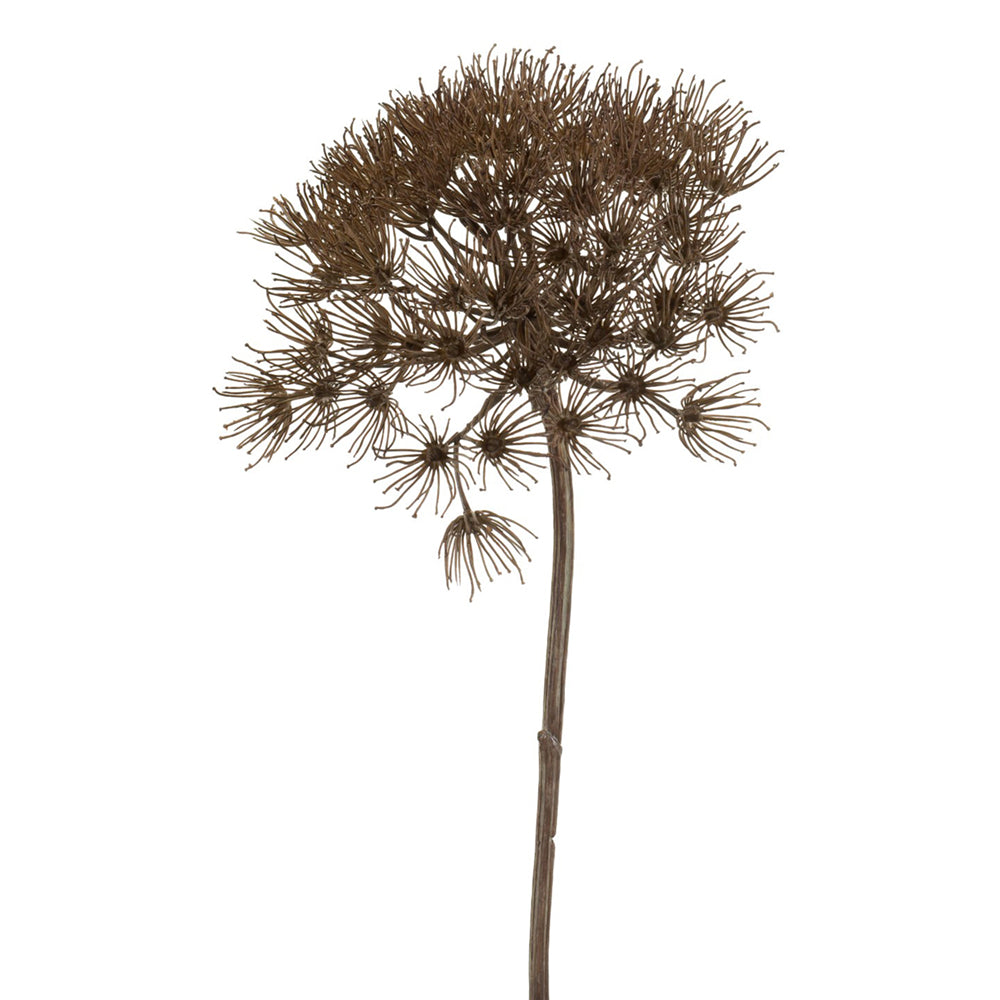 Heracleum - Dekogreen®