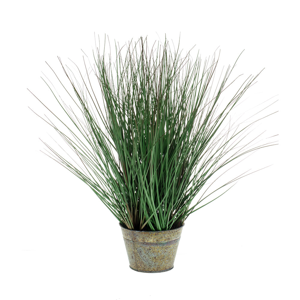 HIERBA SALVAJE - Dekogreen®