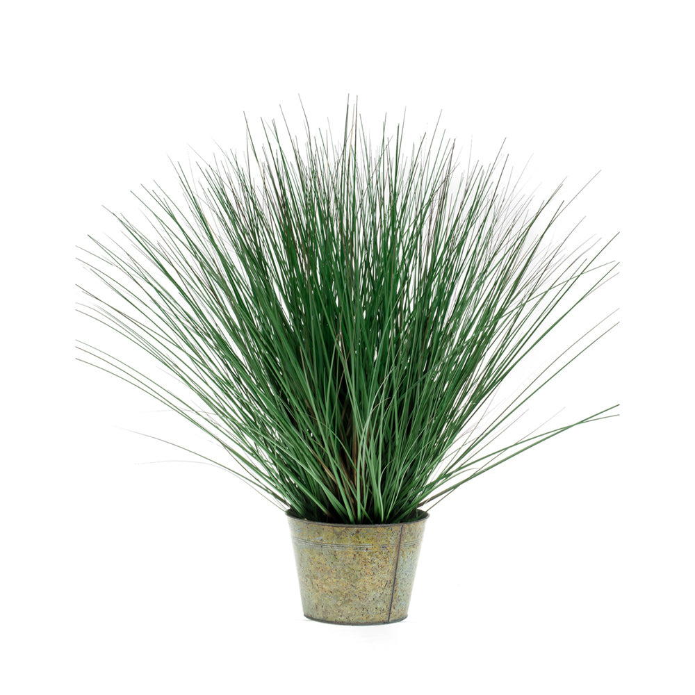 HIERBA SALVAJE - Dekogreen®