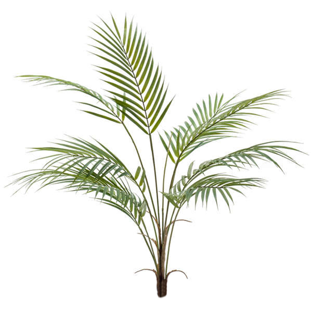 Palmera Chamaedorea - Dekogreen®
