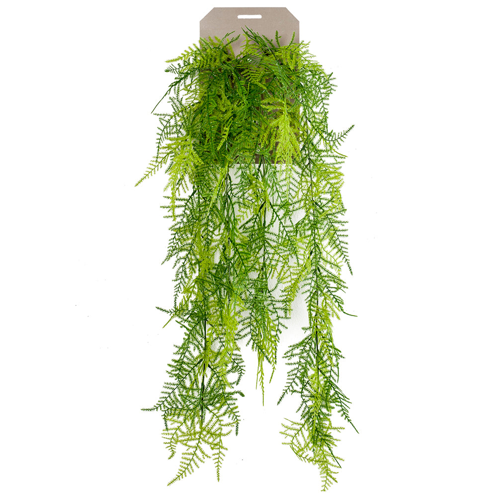 Planta colgante HELECHO PLUMOSO - Dekogreen®