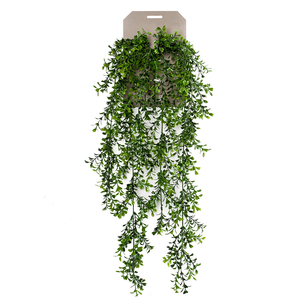 Planta Colgante BOJ - Dekogreen®