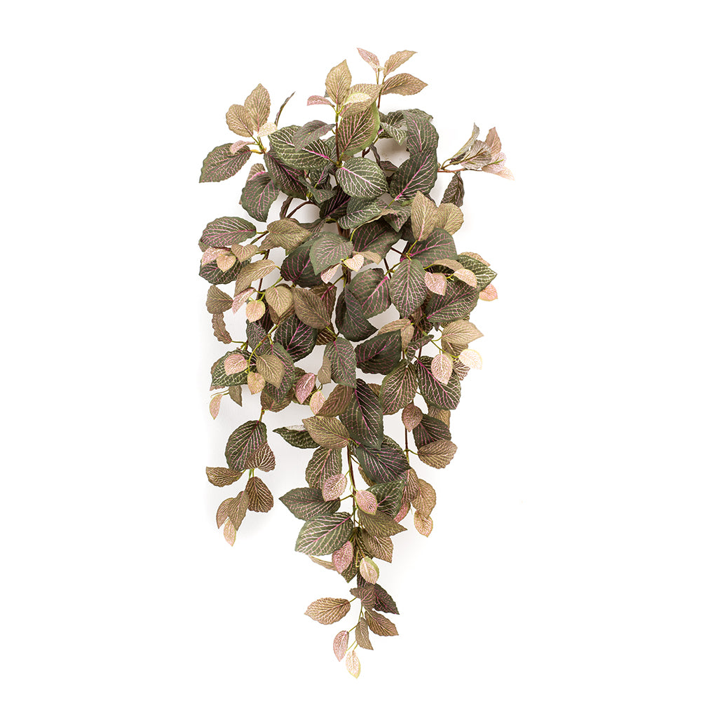 Planta Colgante HOJA JAPONESA - Dekogreen®