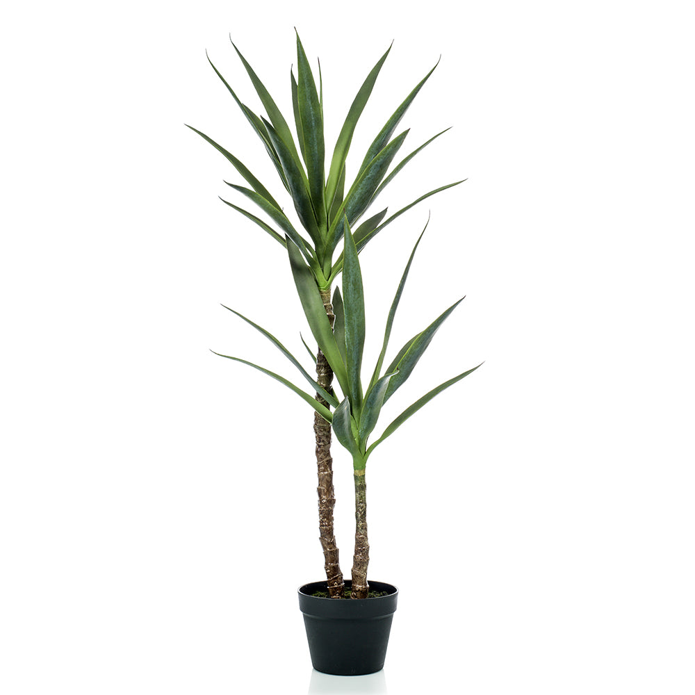 Árbol YUCCA - Dekogreen®