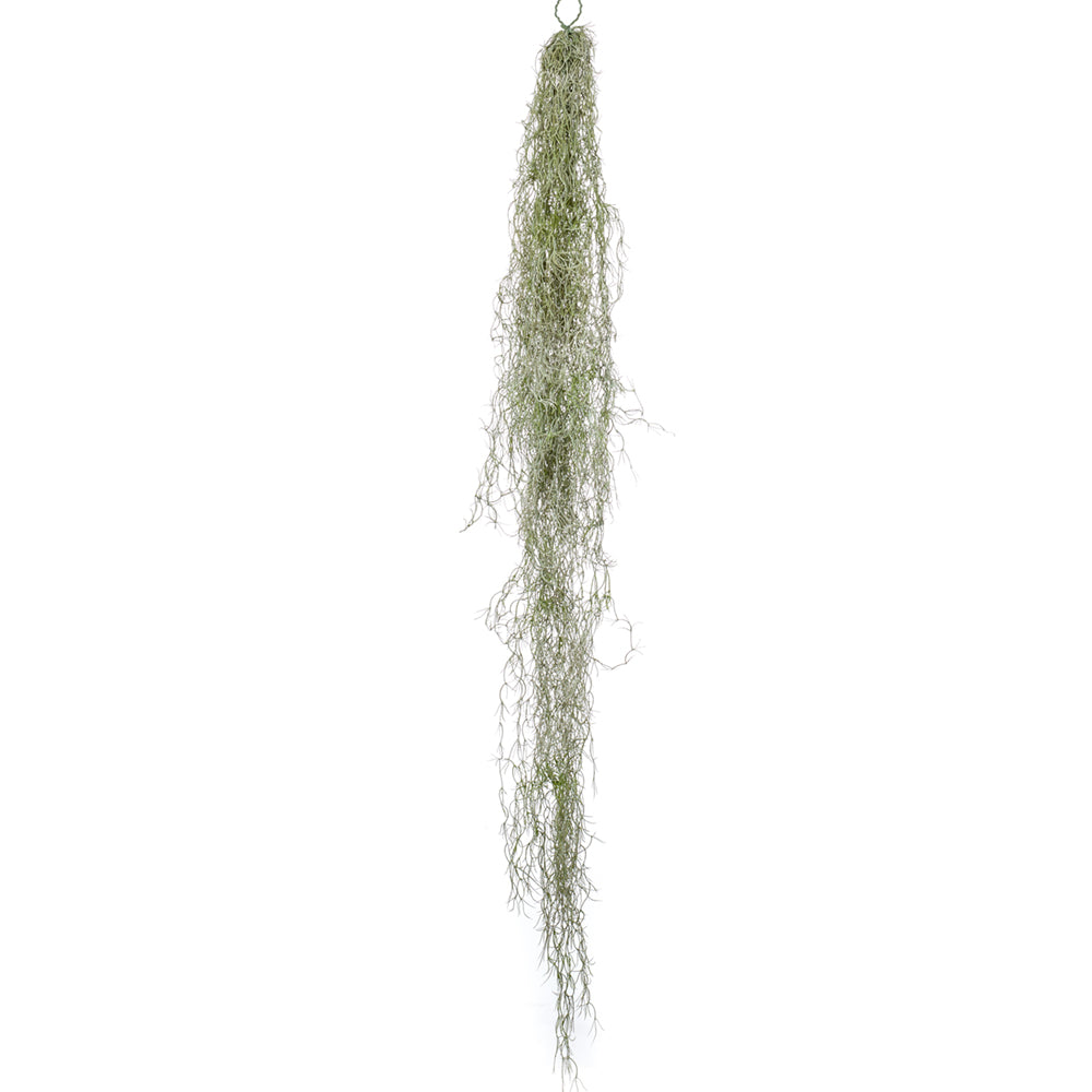 Arbusto colgante Tillandsia - Dekogreen®