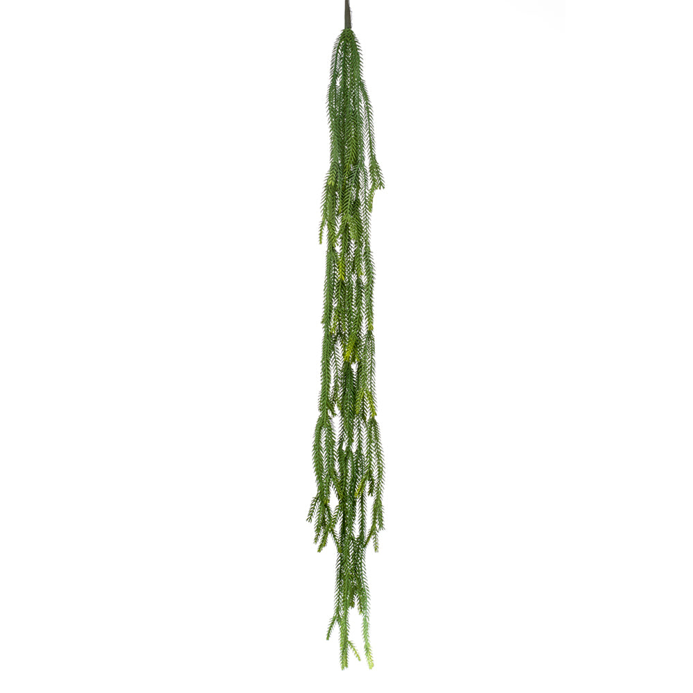 Arbusto colgante EPIPHYLLUM - Dekogreen®