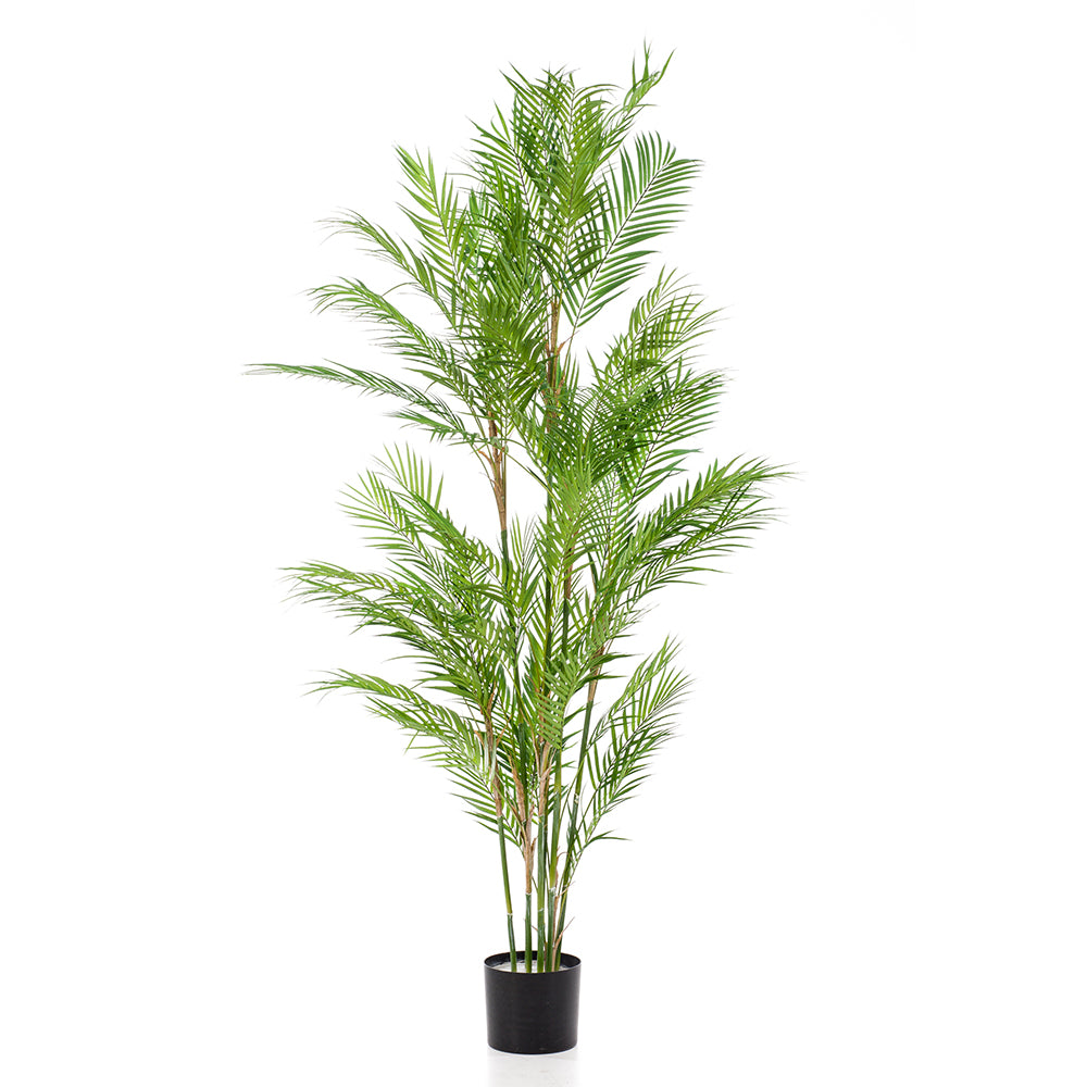 Árbol PALMERA STYLE - Dekogreen®