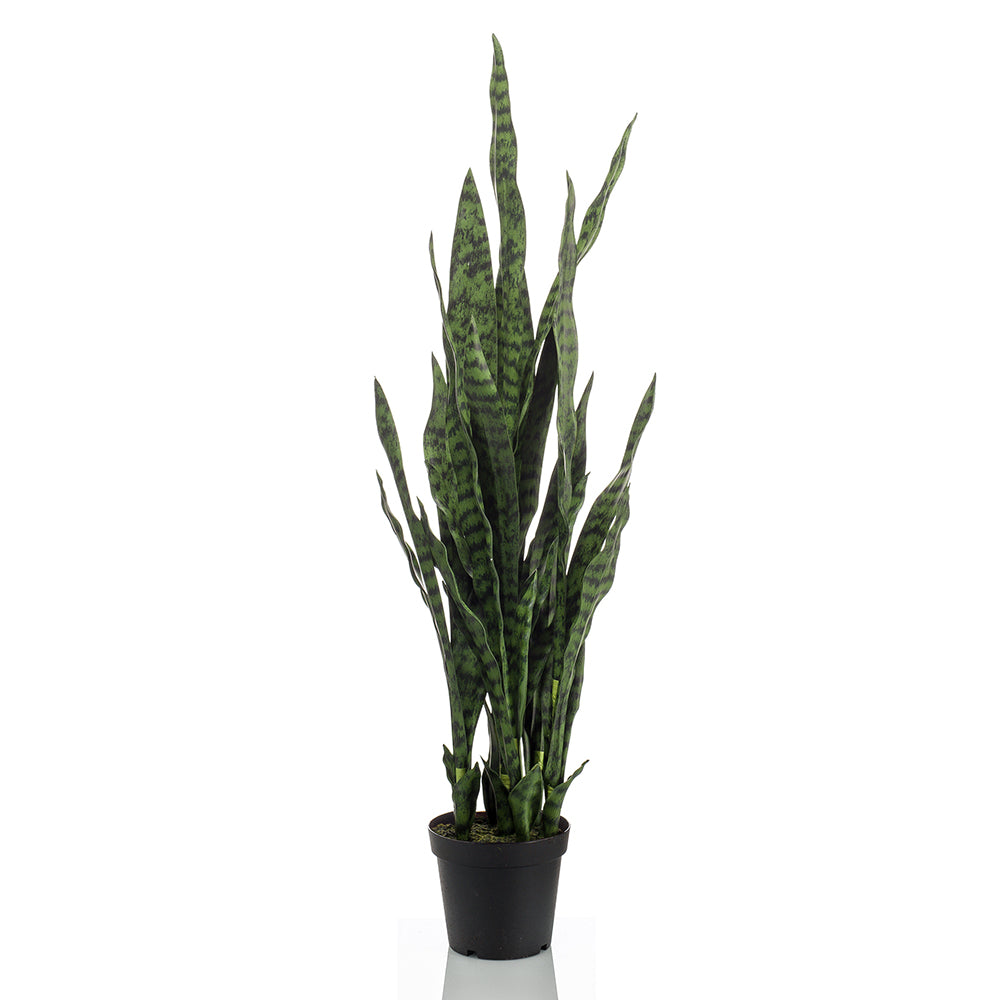 Planta SANSEVIERIA - Dekogreen®