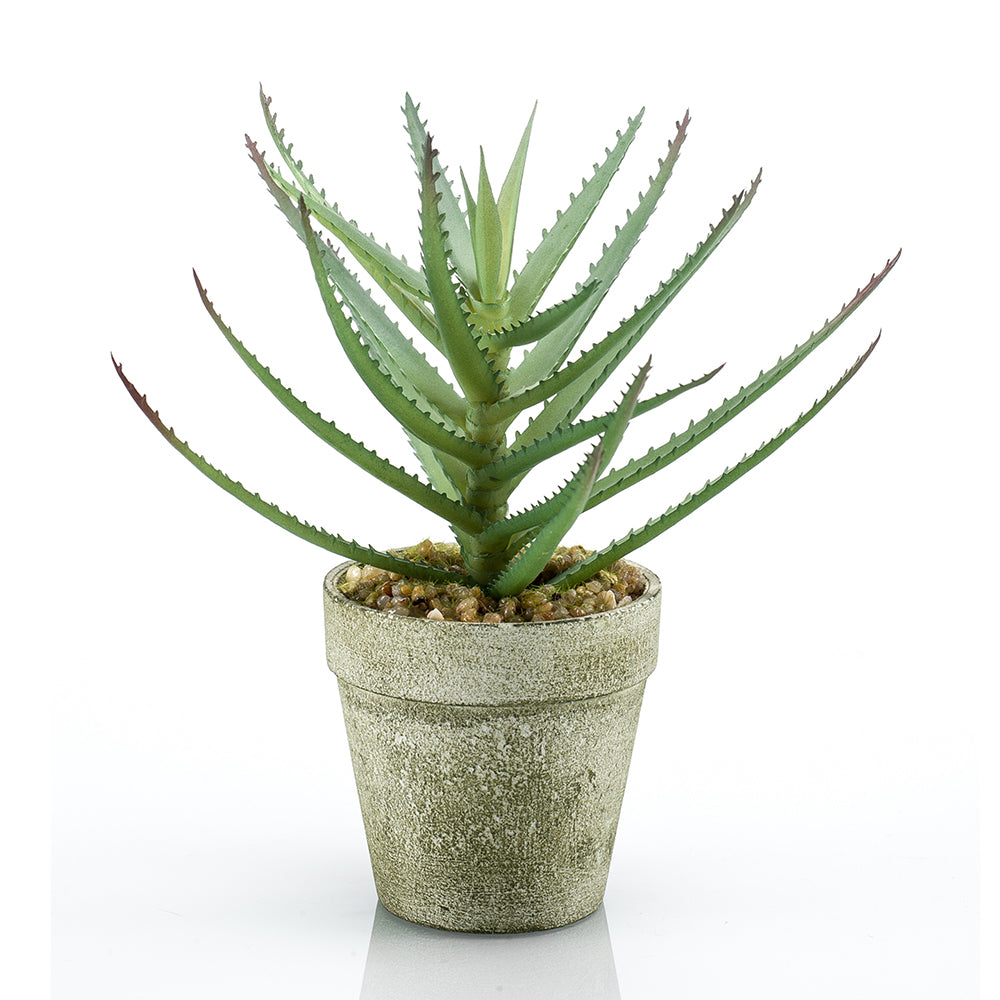 ALOE - Dekogreen®