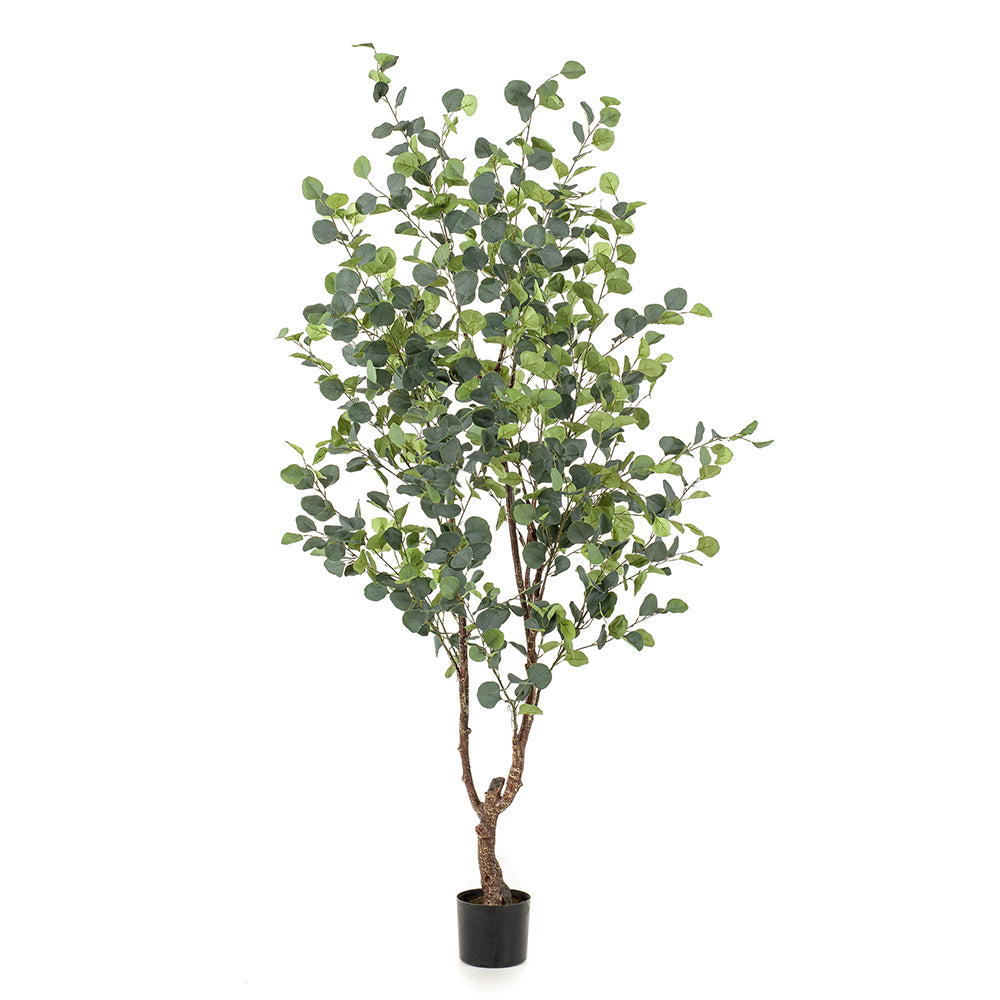 Árbol EUCALYPTO de 120 cm - Dekogreen®