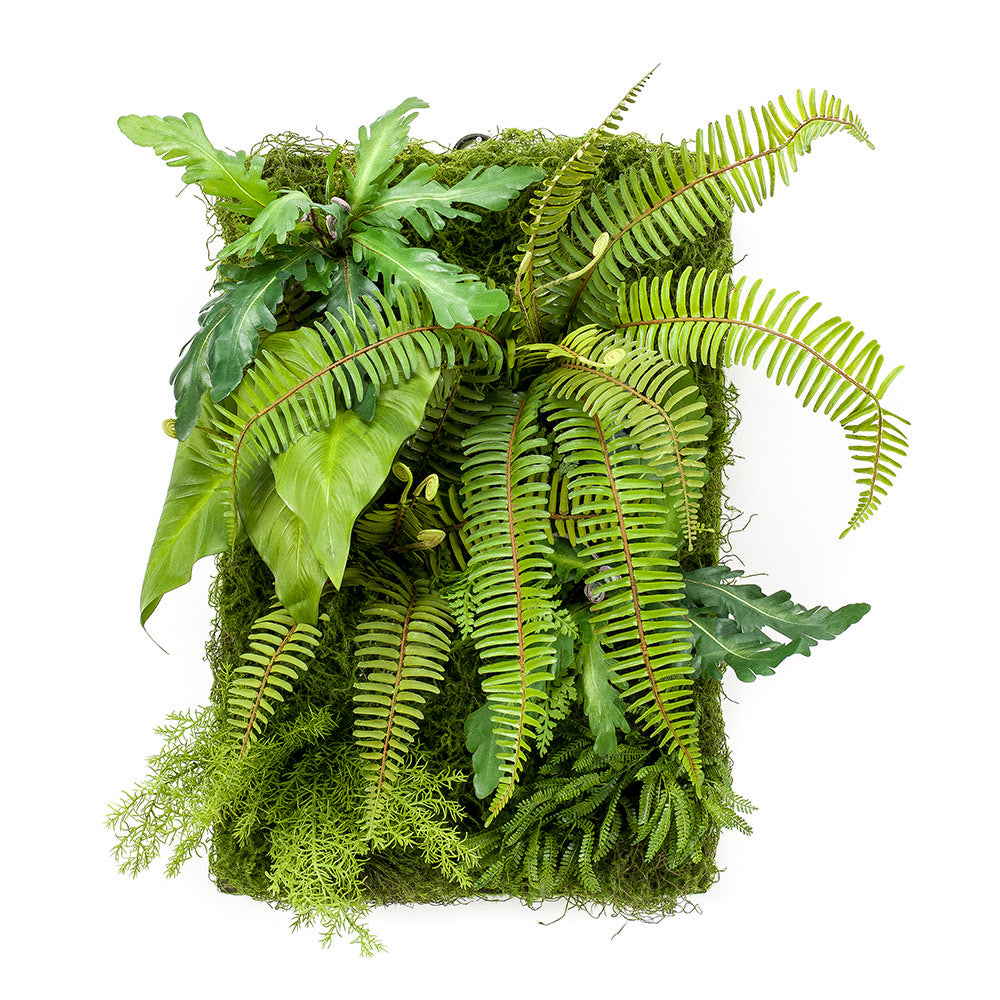 JARDIN VERTICAL SALVAJE - Dekogreen®