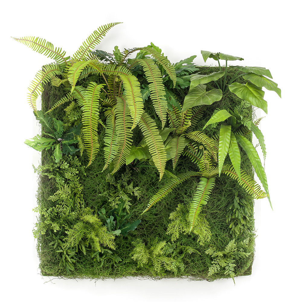 JARDIN VERTICAL SALVAJE MUSGO - Dekogreen®