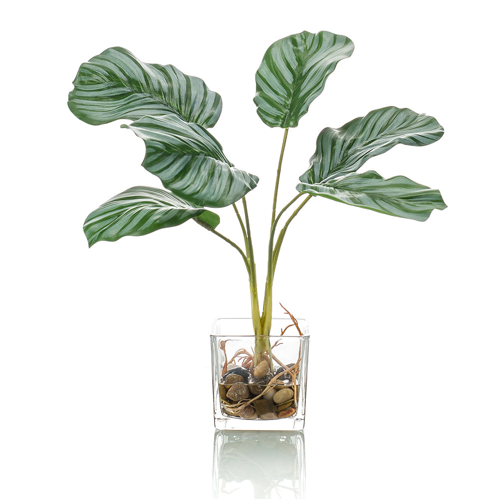 CALATEA - Dekogreen®
