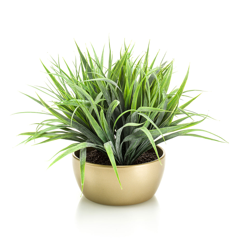 HIERBA GOLD - Dekogreen®