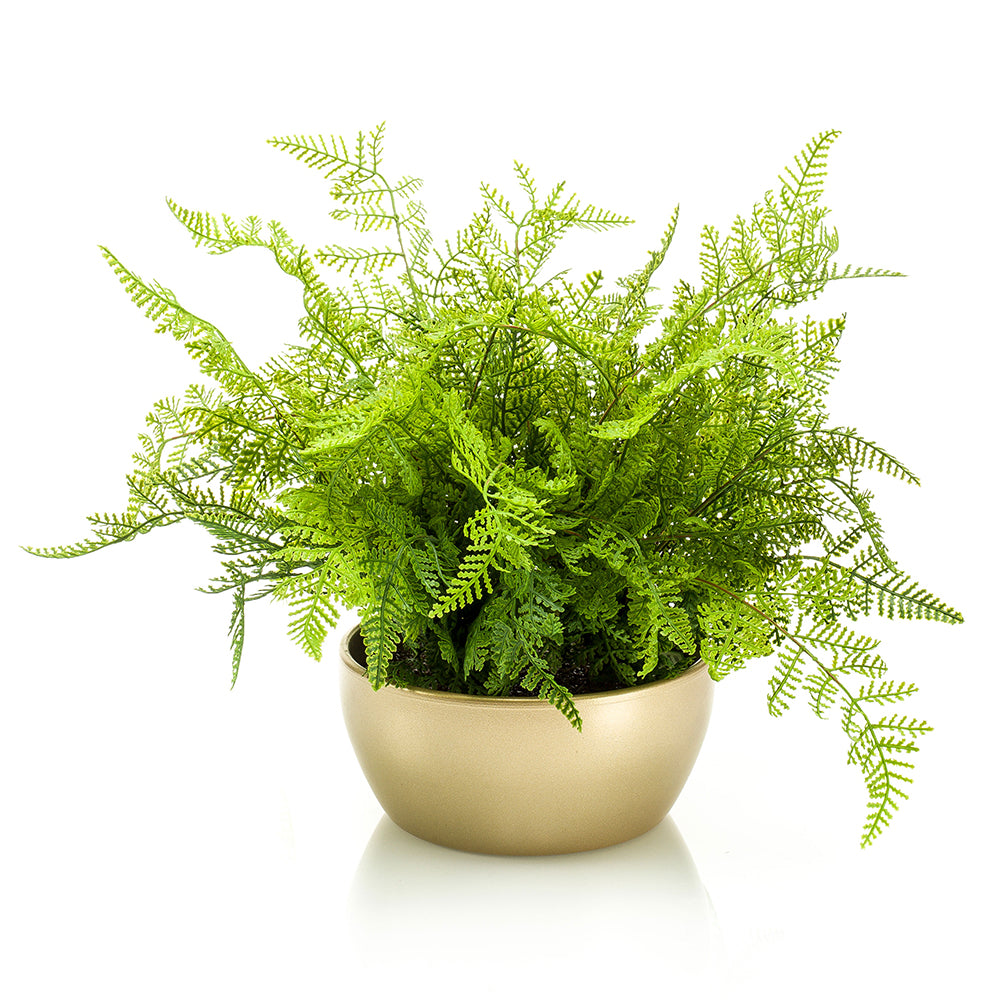 BOSQUE DE HELECHOS - Dekogreen®