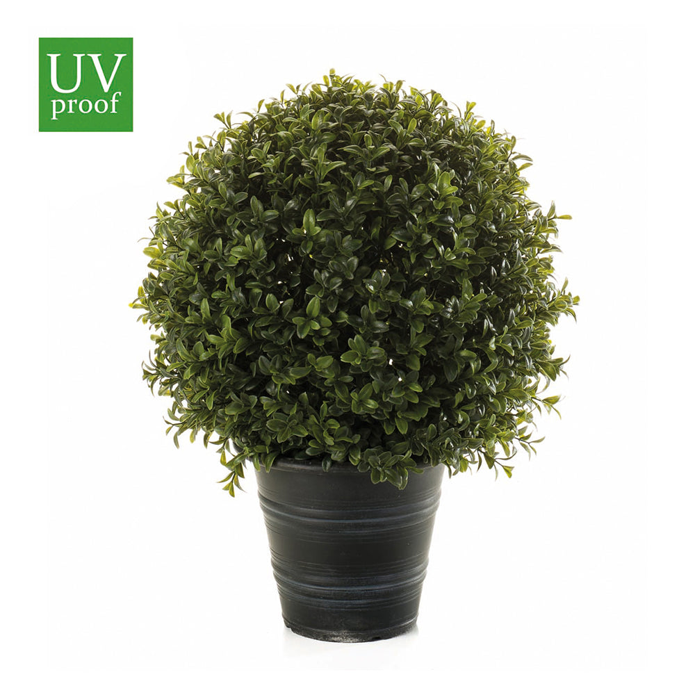 Árbol ESFERA de BOJ con macetero de 42 cm - Dekogreen®