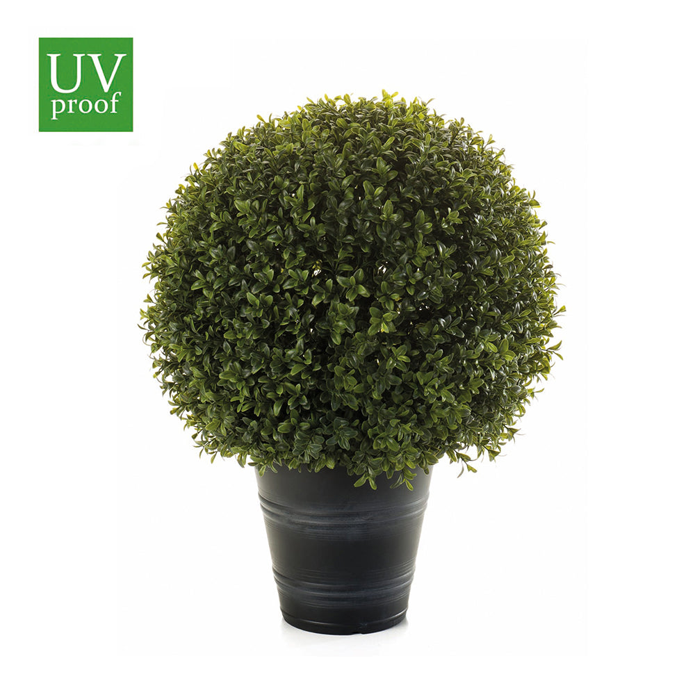 Árbol ESFERA de BOJ con macetero de 42 cm - Dekogreen®