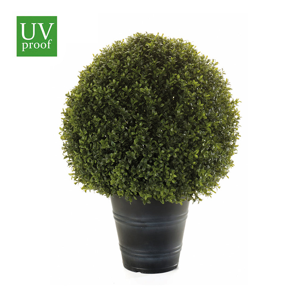 Árbol ESFERA de BOJ con macetero de 42 cm - Dekogreen®