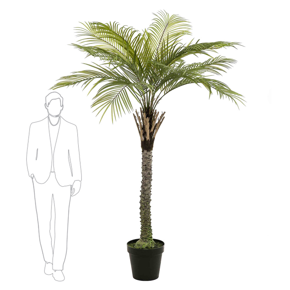 Árbol GRAN PALMERA - Dekogreen®