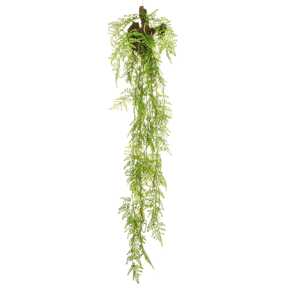 Planta colgante Helecho con tronco - Dekogreen®
