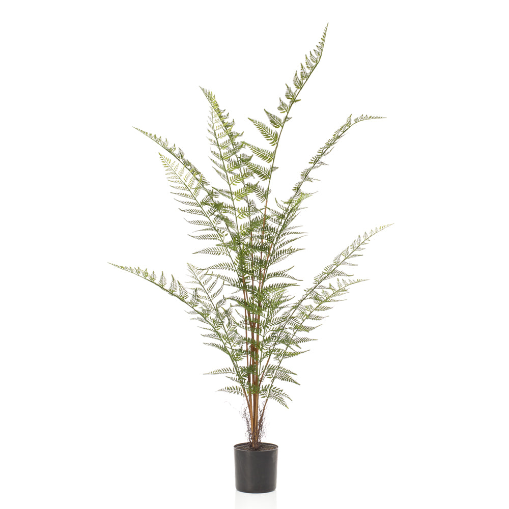 Árbol Helecho Mini - Dekogreen®