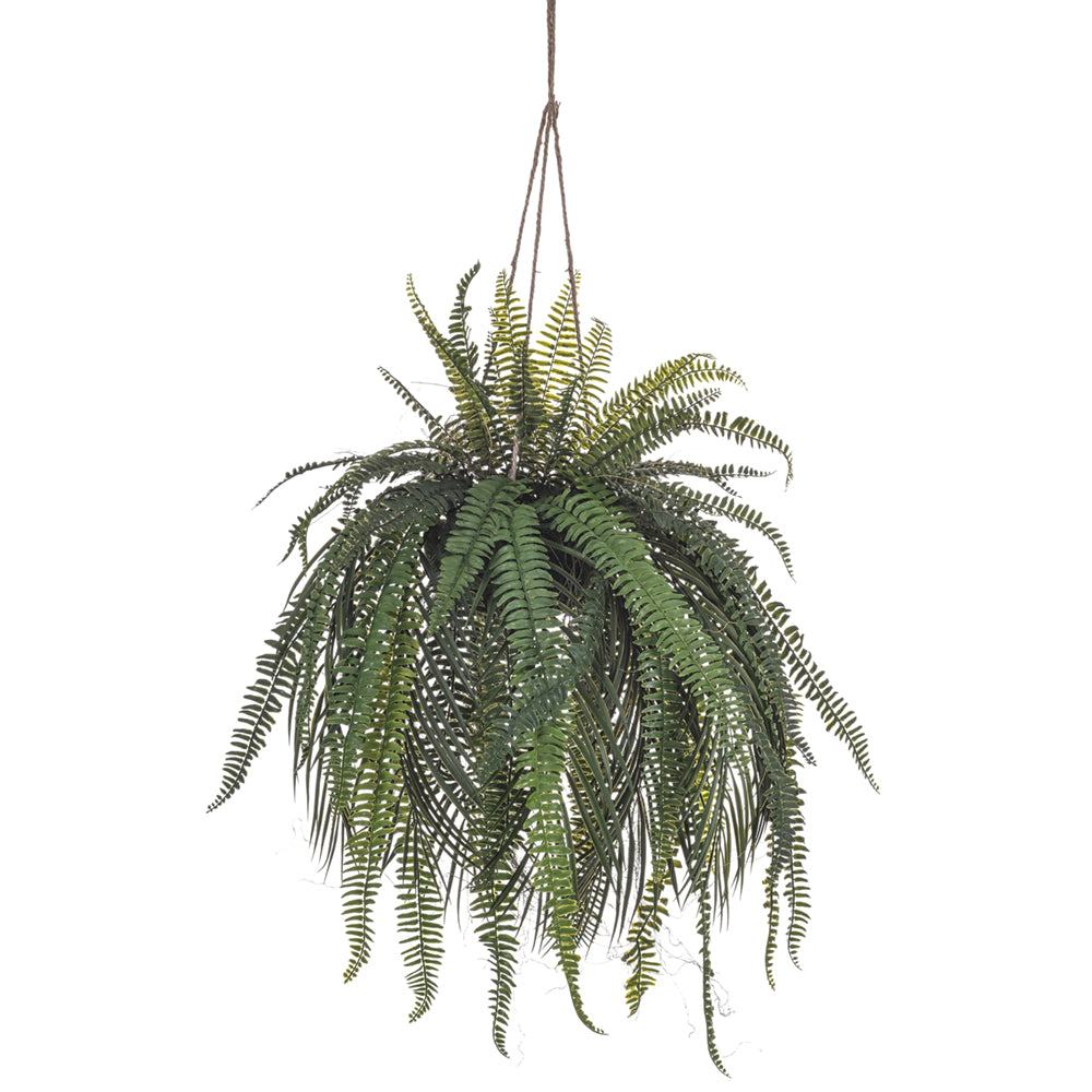 Helecho de Palma colgante - Dekogreen®