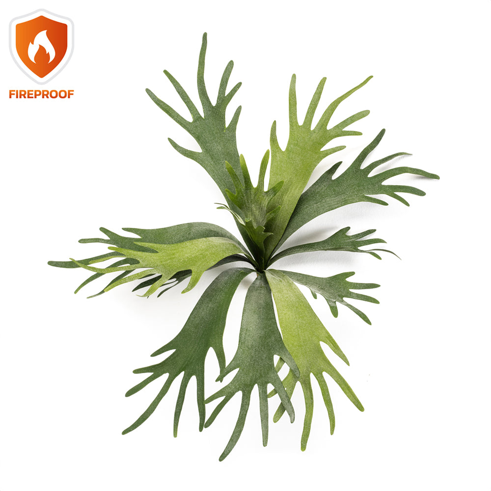 Arbusto cuerno de ciervo 50 cm FIREPROOF - Dekogreen®