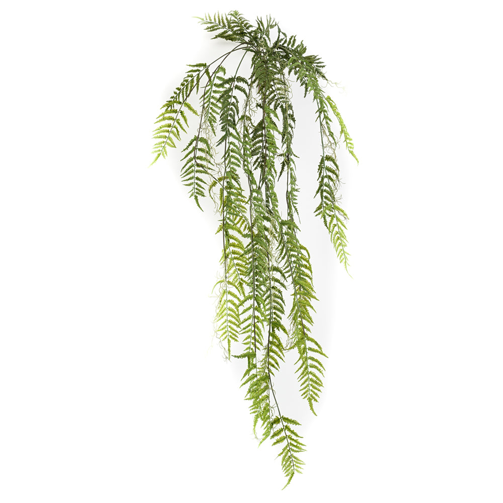 Planta colgante Helecho Cuero - Dekogreen®