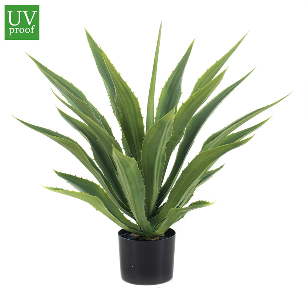 Ágave verde UV - Dekogreen®
