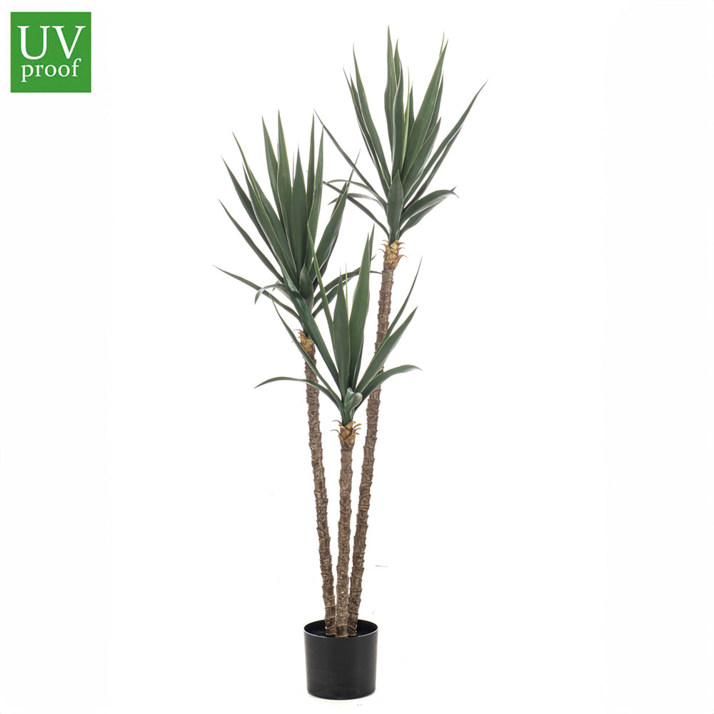 Yucca UV - Dekogreen®
