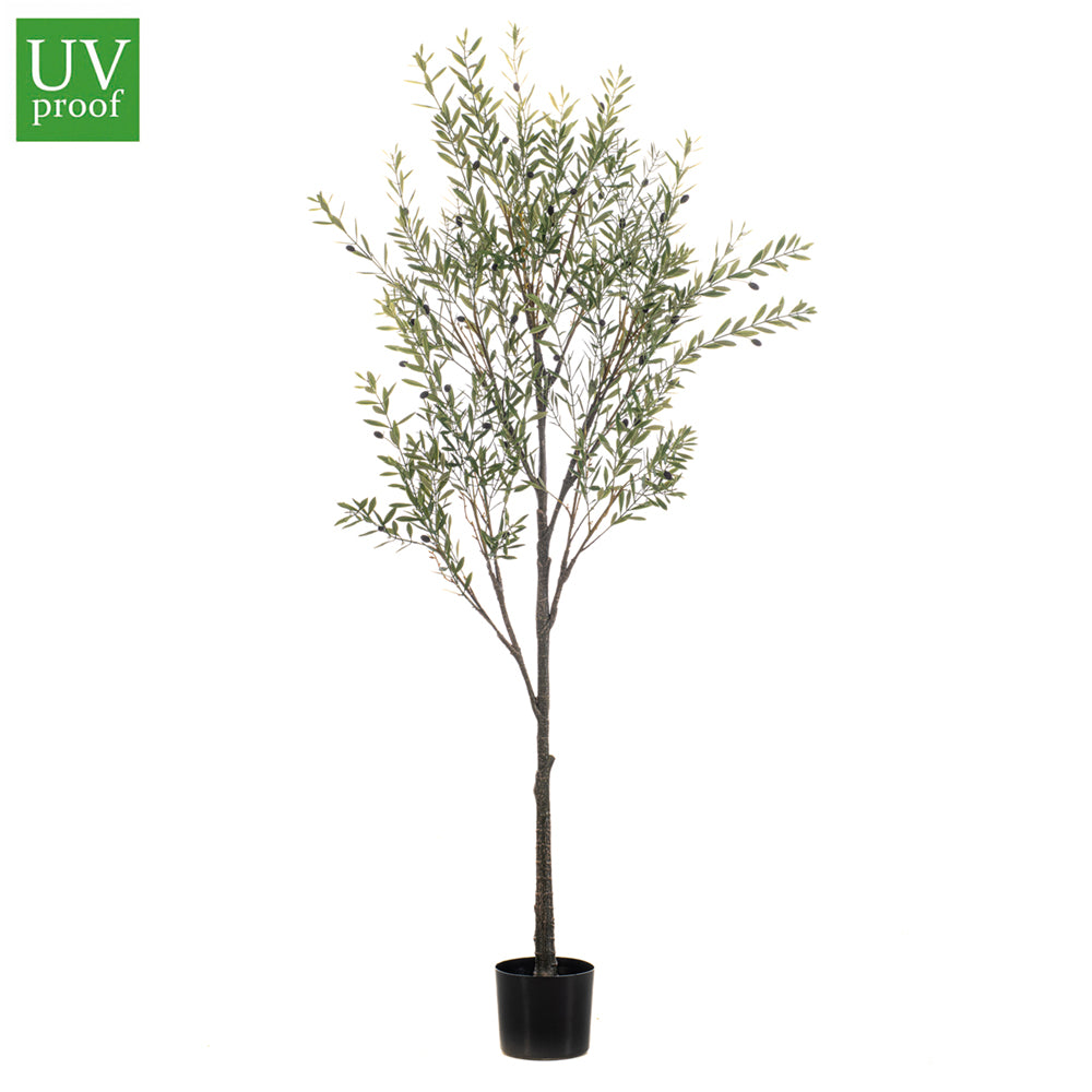 Árbol Olivo UV 175 cm - Dekogreen®
