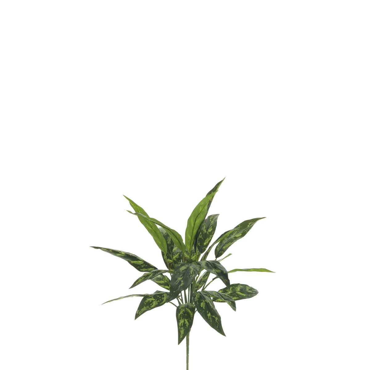 Aglaonema artificial de 71 cm, color verde