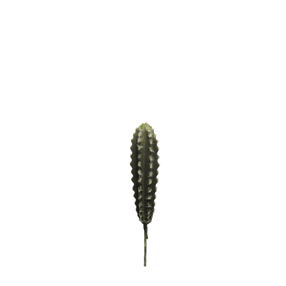 Cactus artificial de 28 cm, color verde