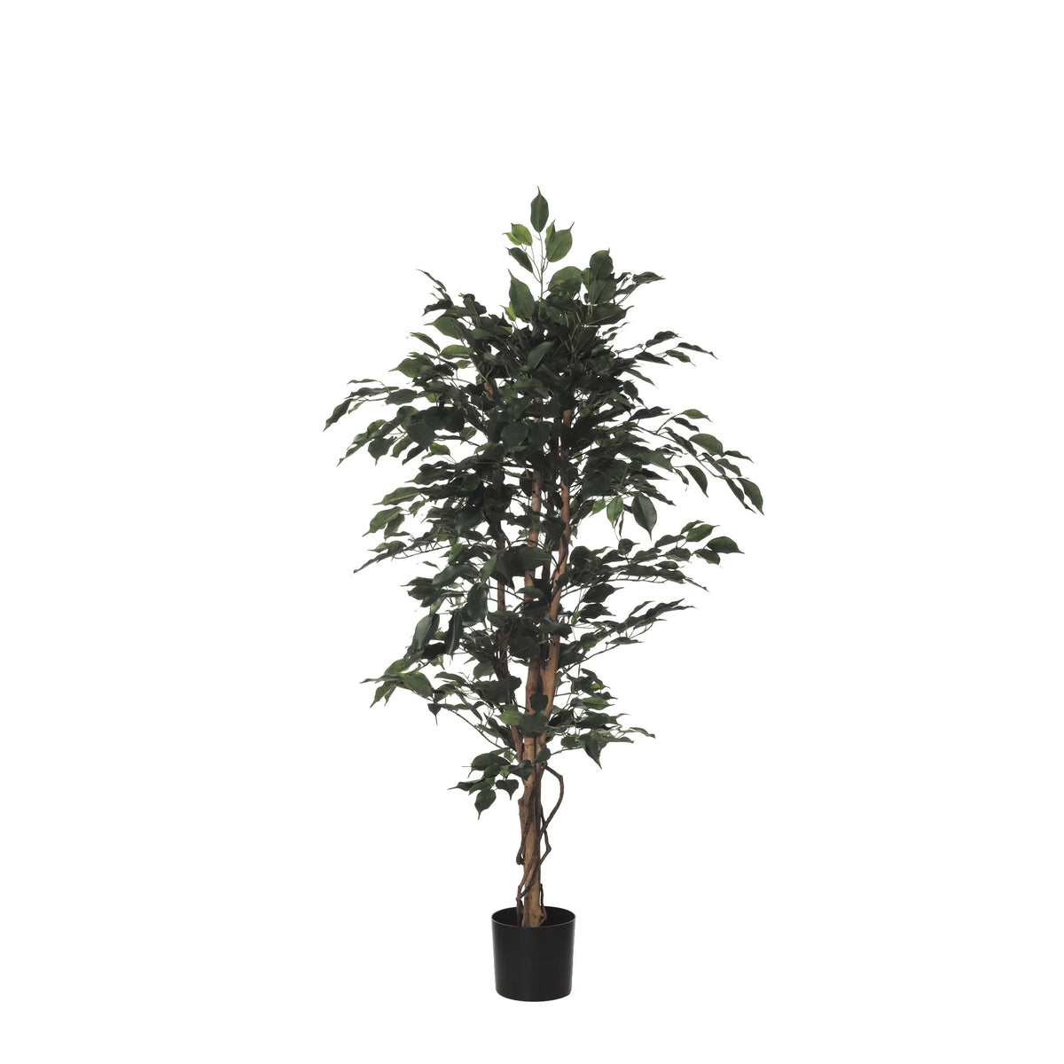 Ficus Exotica artificial de 150 cm, color verde
