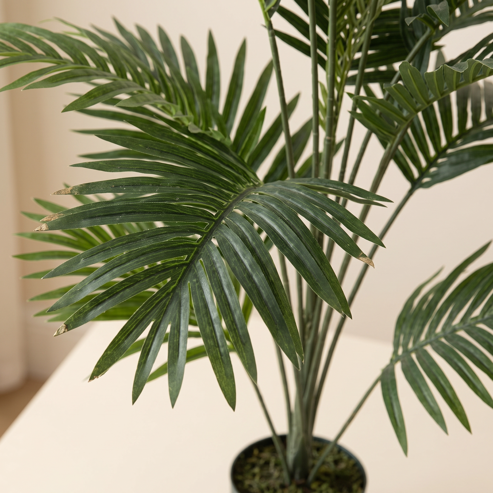 Detalle del realismo de las hojas de la palmera artificial de Dekogreen