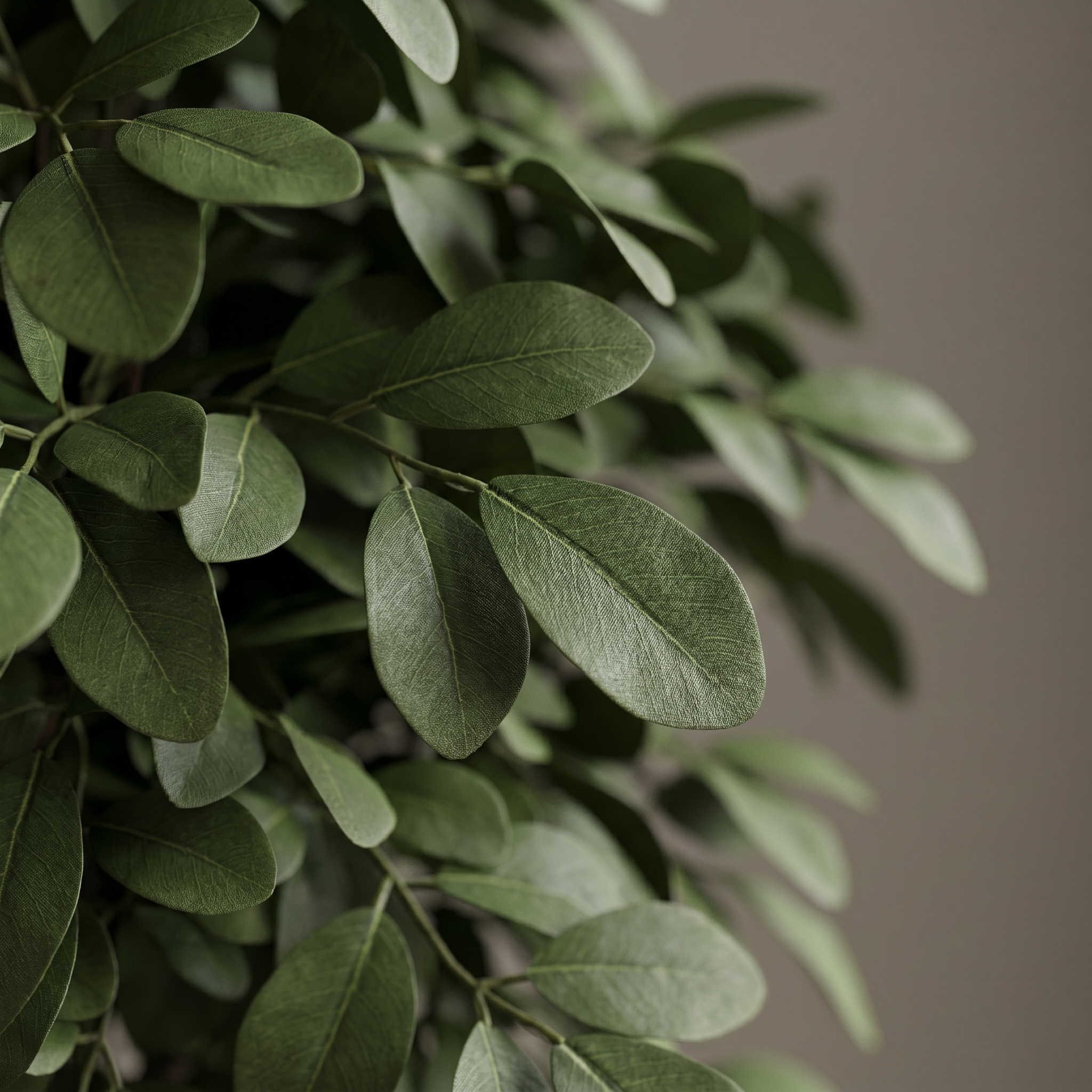 Detalle del realismo de las hojas del Ficus Premium artificial de Dekogreen