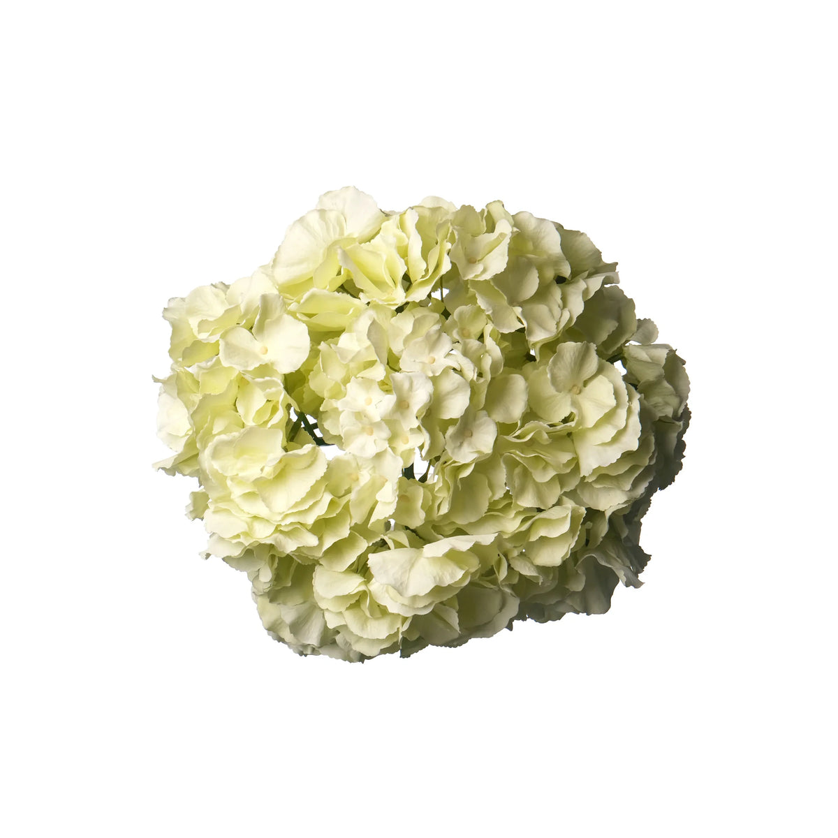 Hortensia artificial de 53 cm, color verde claro