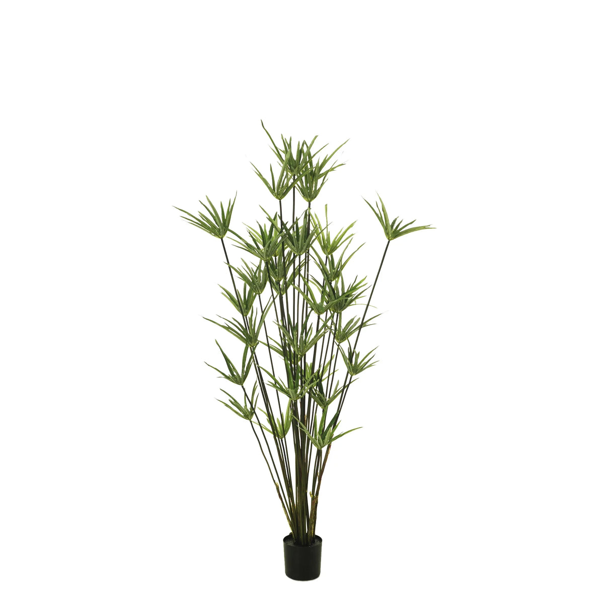 Papiro artificial de 137 cm, color verde