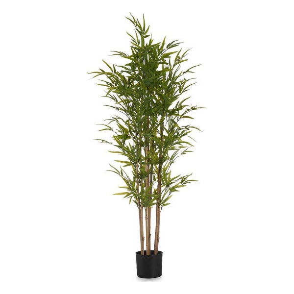 Bambú 150 cm - Dekogreen®