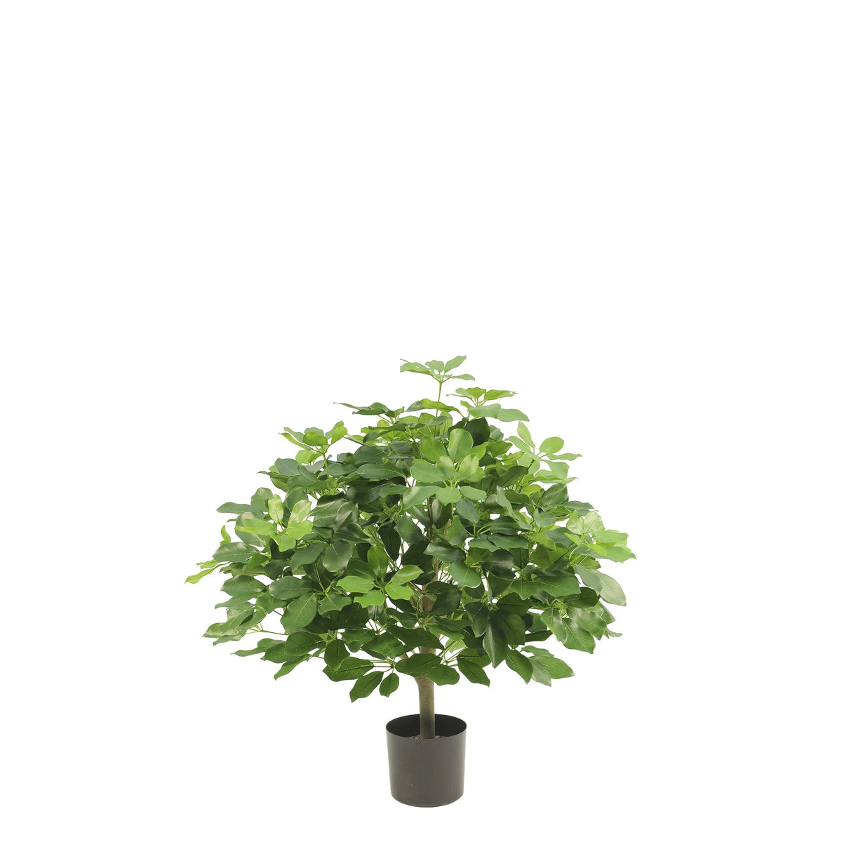 Schefflera artificial de 90 cm, color verde