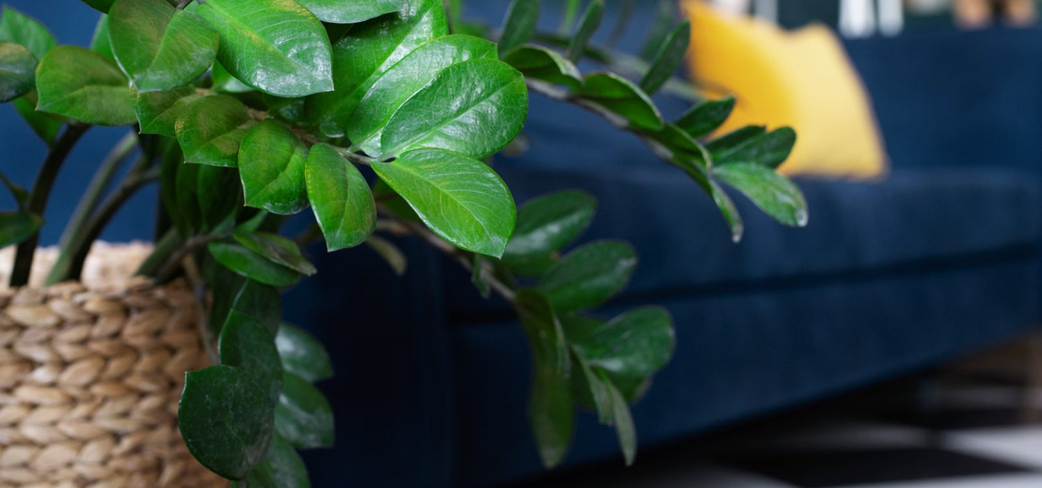 Ideas para decorar espacios pequeños con plantas artificiales premium