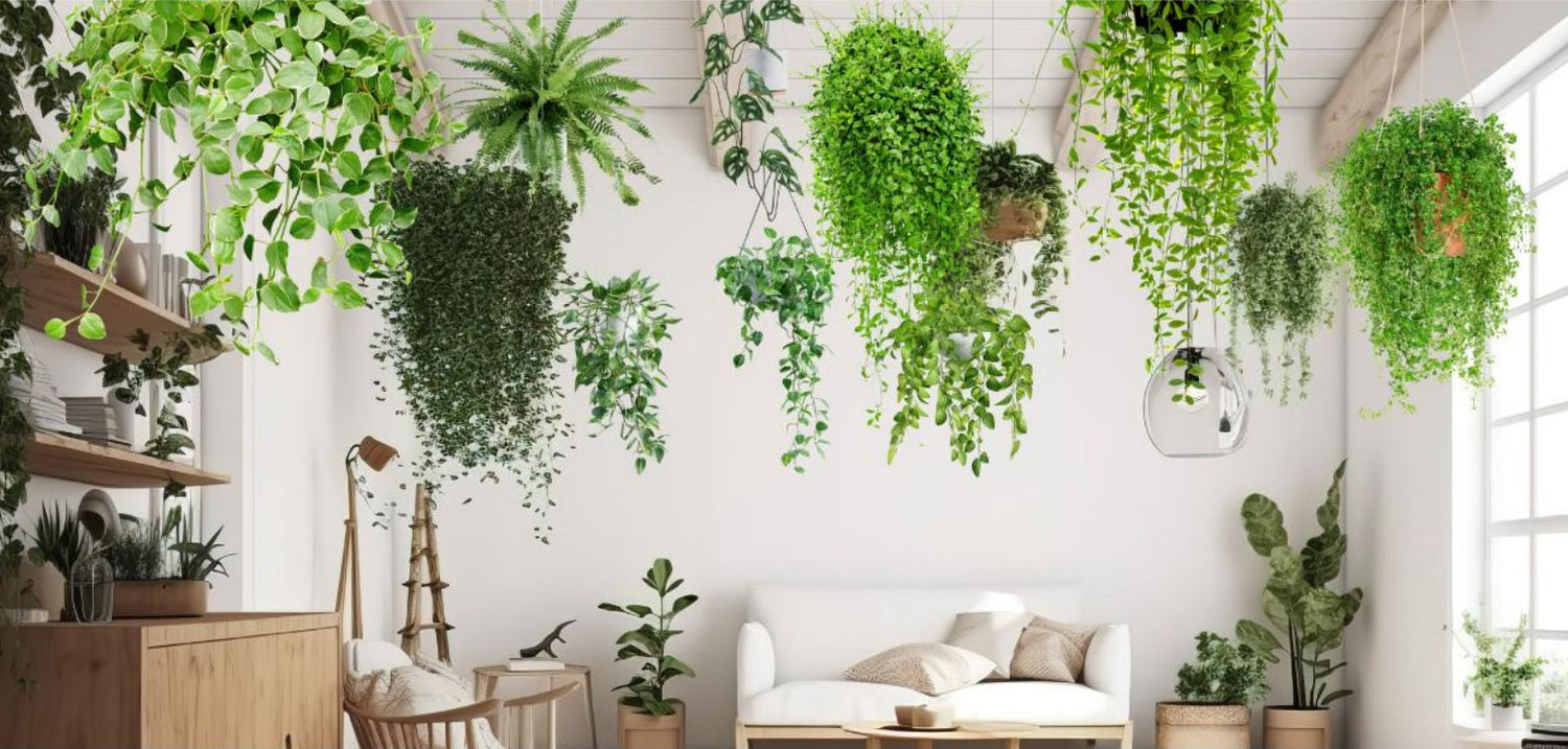 ¿Qué son las plantas artificiales hiperrealistas y por qué están en tendencia?