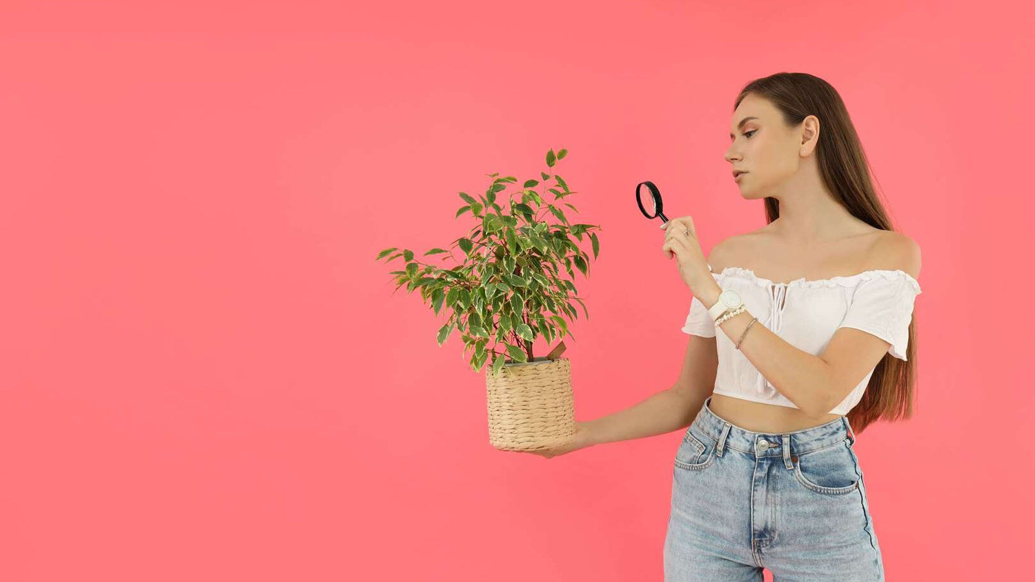 Cómo identificar una planta artificial de alta calidad (y evitar que te engañen)