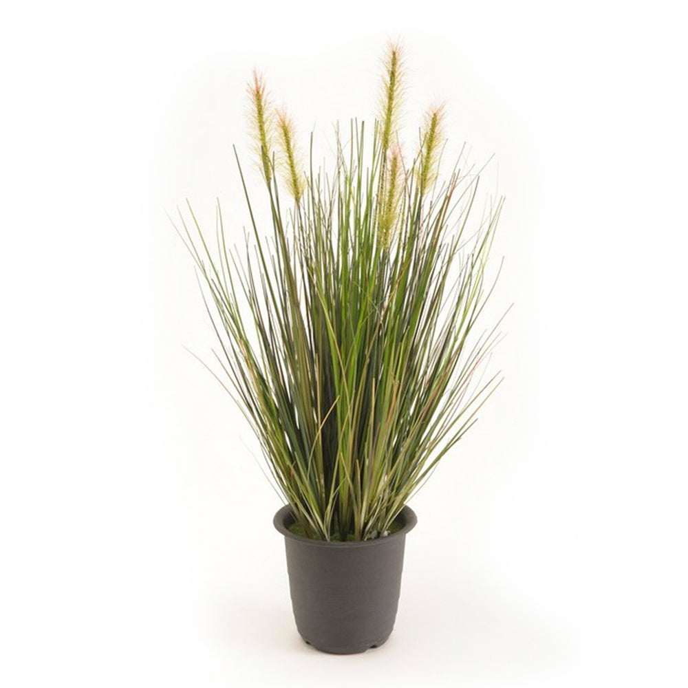 Planta Junco ESPIGA de 50 cm - Dekogreen®