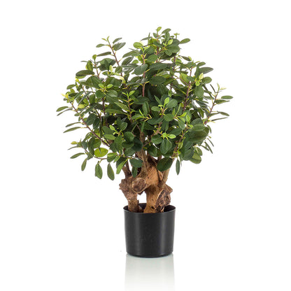 Árbol FICUS BOTANIC de 75 cm - Dekogreen®