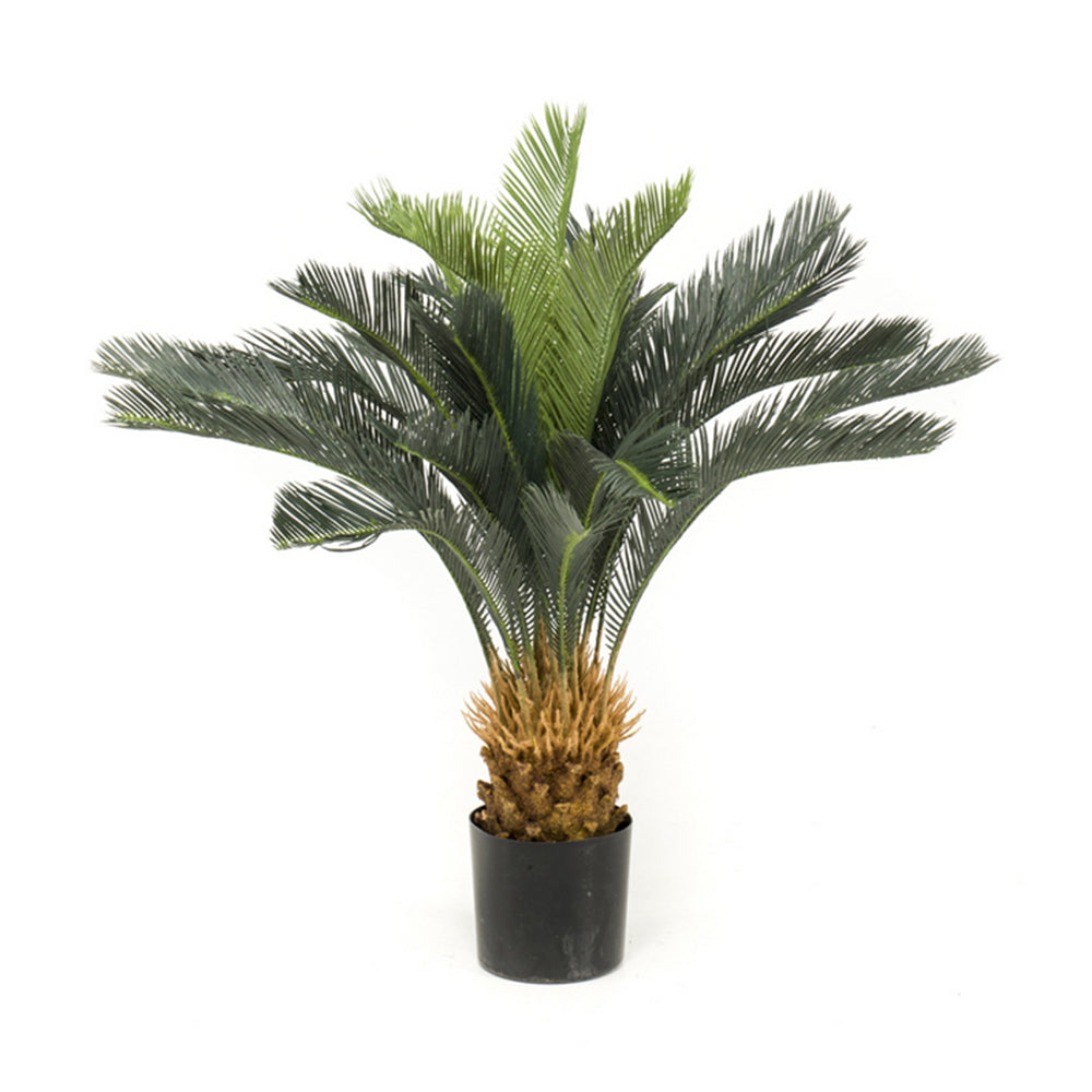 Árbol PALMERA CYCA BASIC - Dekogreen®