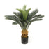 Árbol PALMERA CYCA BASIC - Dekogreen®